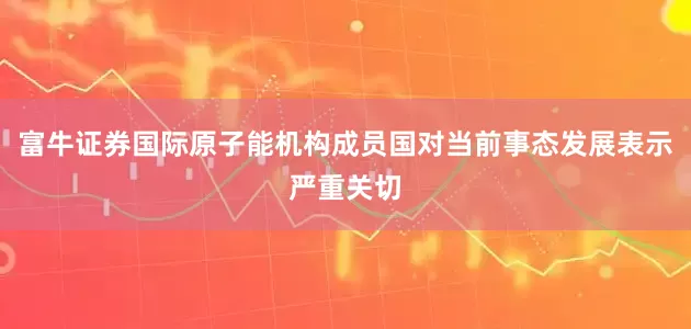 富牛证券国际原子能机构成员国对当前事态发展表示严重关切