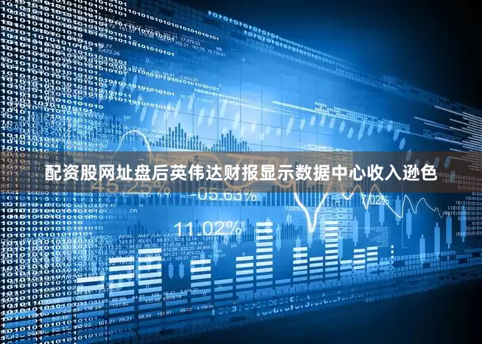 配资股网址盘后英伟达财报显示数据中心收入逊色