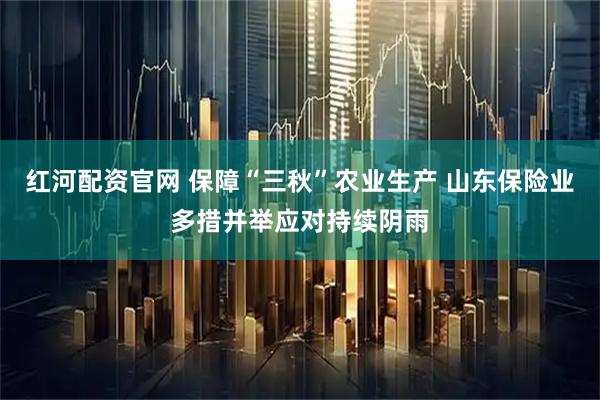 红河配资官网 保障“三秋”农业生产 山东保险业多措并举应对持续阴雨